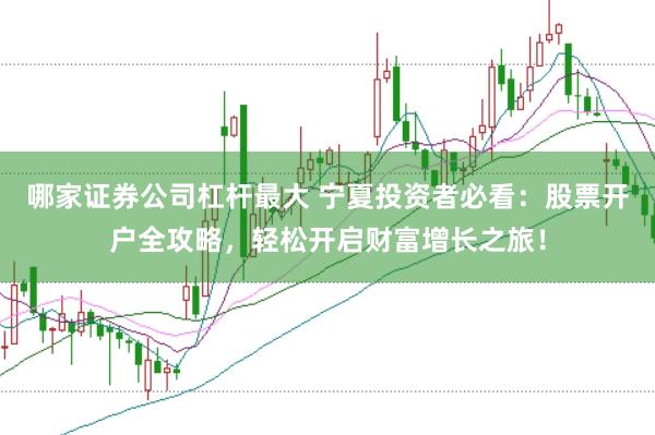 哪家证券公司杠杆最大 宁夏投资者必看：股票开户全攻略，轻松开启财富增长之旅！