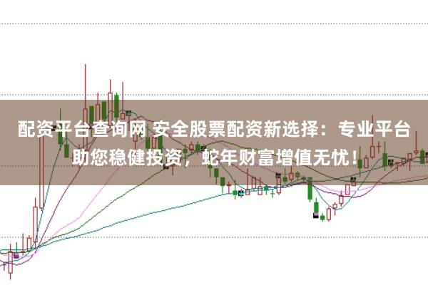 配资平台查询网 安全股票配资新选择：专业平台助您稳健投资，蛇年财富增值无忧！