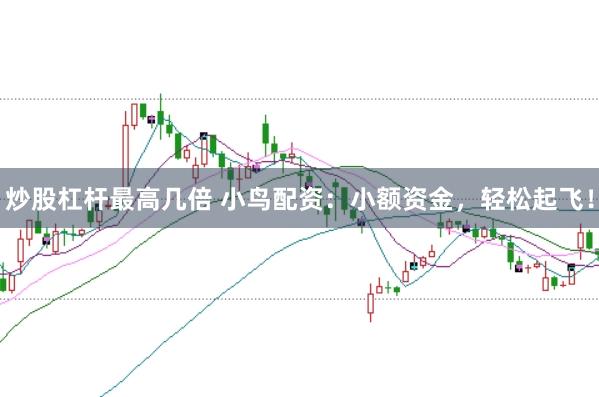 炒股杠杆最高几倍 小鸟配资：小额资金，轻松起飞！