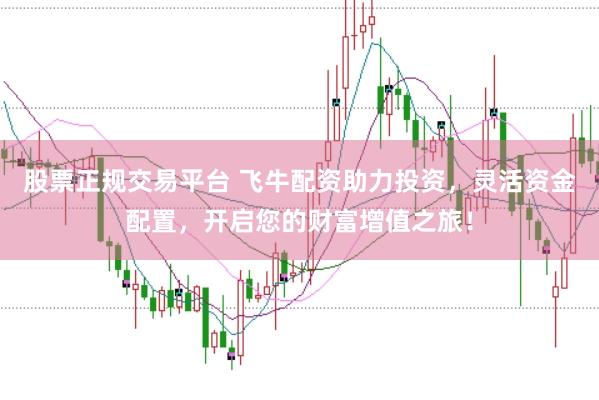 股票正规交易平台 飞牛配资助力投资，灵活资金配置，开启您的财富增值之旅！