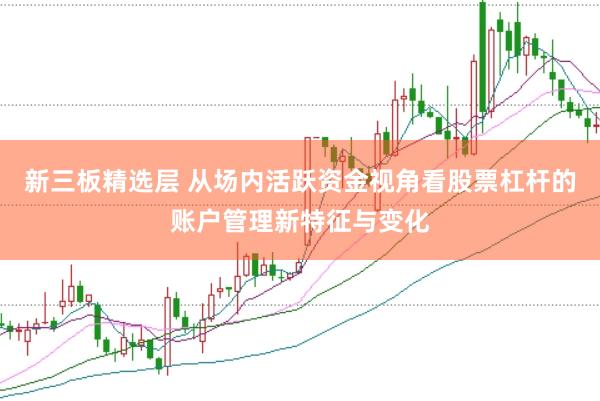新三板精选层 从场内活跃资金视角看股票杠杆的账户管理新特征与变化
