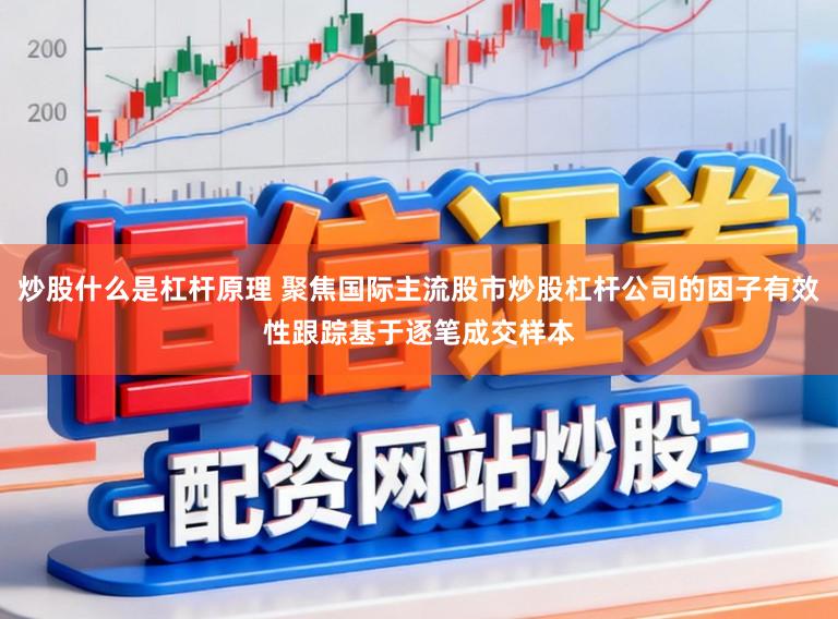 炒股什么是杠杆原理 聚焦国际主流股市炒股杠杆公司的因子有效性跟踪基于逐笔成交样本