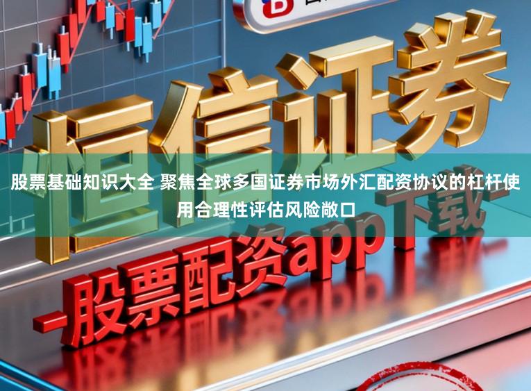 股票基础知识大全 聚焦全球多国证券市场外汇配资协议的杠杆使用合理性评估风险敞口